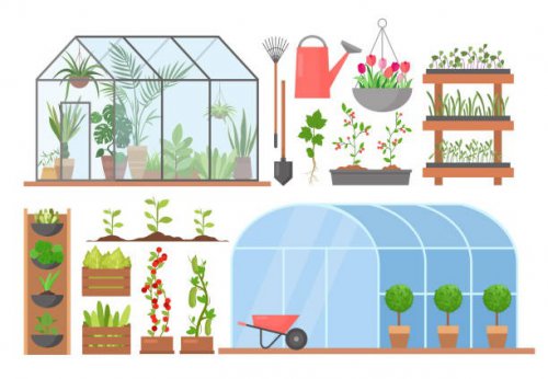 Plant Nursery Module
